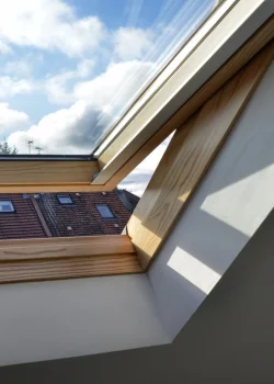 illustration-velux-baron (4)-grande