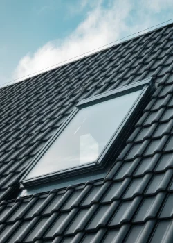 illustration-velux-baron (5)-grande